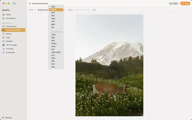 The OtterPix Format Conversion tool on macOS with HEIC photos loaded and JPEG selected as the output format.